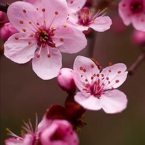 Meet your Posher, Hee